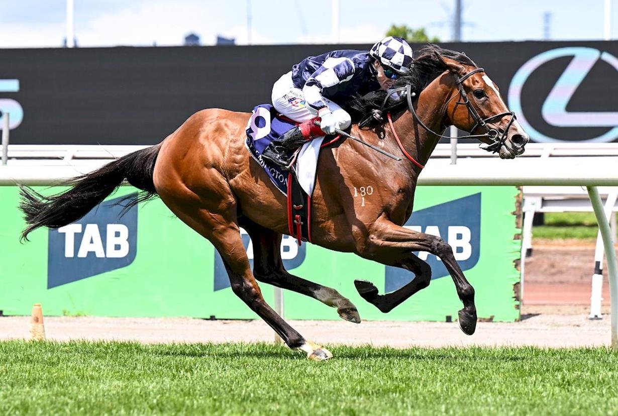 LITZDEEL SIGNALS 2026 CUP INTENTIONS WITH DEMOLITION